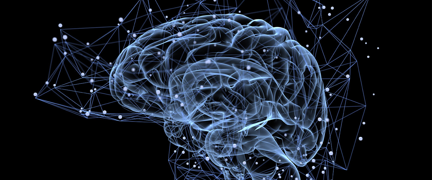 Neurological Reconnection